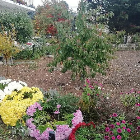 La Nuova Dimora B&B-2